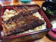 松ぼっくり