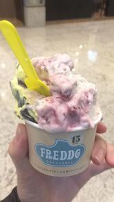 Freddo Gelateria - Balneário Shop