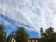 Bar Arnica Snc Di Carlet Roberto & C.