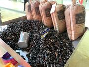 Poissonnerie des Halles