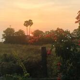 Haryana Dhaba & Bakes