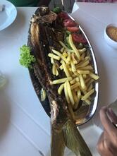 Palhoça Sereia. Praia Morro Branco