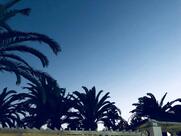 Restaurant La Cabane