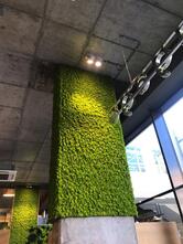 MisterLino Officina Lana Caffè