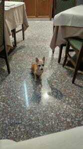 Ristorante Pizzeria Marechiaro