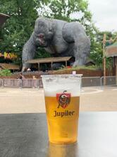 Jupiler Beer Bar