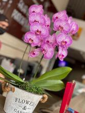 Boaz Café e Confeitaria