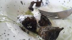 Гранатовый Сад