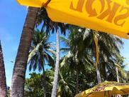 Barraca Sete Coqueiros