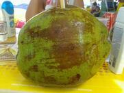 Quiosque Point do Gordo