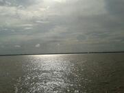 Dona Beth - peixe Frito Ver O Peso