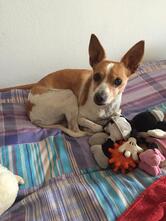 Agriturismo La Colombara