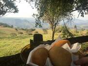 Venda Vivan Pardinho