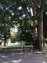 Le Scuderie della Tesoriera