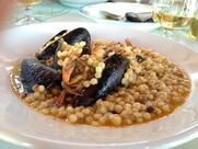 Ittiturismo San Domenico