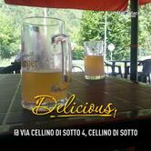bar cellina