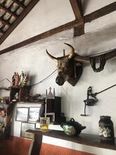 Pastelaria Pizzaria Central