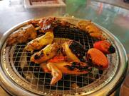 汀角灣燒烤農莊 BBQ FARM