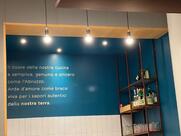 Ovino Brace Bene Fratelli