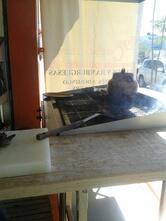 Los Carboneros