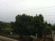 Restaurante Anel do Brejo