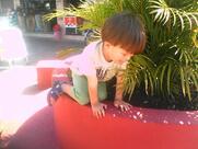 Sorveteria D´Linnus