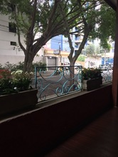 Restaurante Palatus - Barata Ribeiro