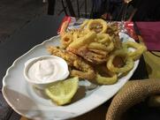 Urban Vineyard Area-UVA