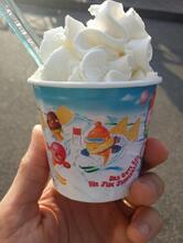 Gelateria Il Dolcefreddo