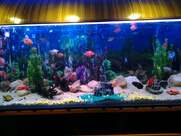 hotel niyas Kerala mess