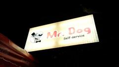 Mr. Dog Self Service