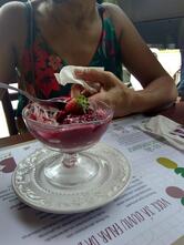 Bio Gourmet Funcional