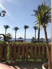 Mövenpick Restaurant