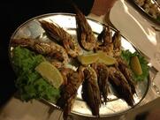 Antica Trattoria Dante