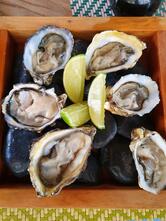 Mirai Restaurante Japonês