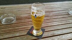 Zum goldenen Ochsen!