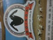 Boutique do Cordeiro Soinga - Espaço Gourmet