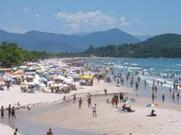 Carrinho Do Canário