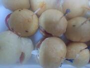 Da.Rì Sweet Handmade