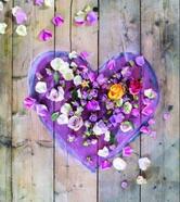 Pizzeria Osteria DA Giorgio e Cristian