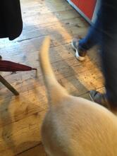 Chocolat Cafè Milano