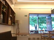 Bapi - Ricardo Paranhos