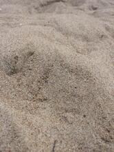 Lido Summer Paradise