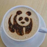 Cafeteria Senhor Café