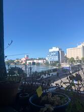 VEGostices (Comida Nordestina Vegan)