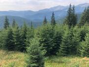 Taverna Olteanului Hotel&Restautant Rânca-Transalpina