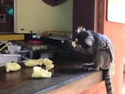 Restaurante Assim Assim & ASSADO