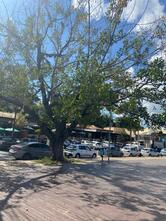 Restaurante Cabana da Praia