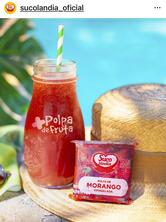 Sucolândia - Polpa de Frutas