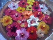 Restaurante Sabor Natural